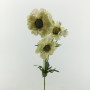 Scabiosa ramo x3 cm.71 bianco