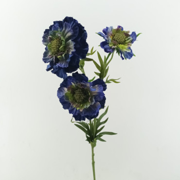 Scabiosa ramo x3 cm.71 blu