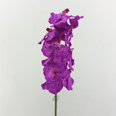 Orchidea vanda x9 cm.81 beauty