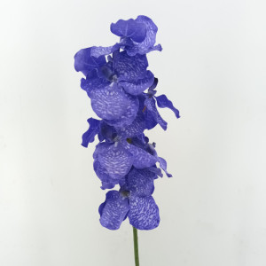 Orchidea vanda x9 cm.81 viola