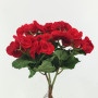 Begonia bush cm.25 rosso