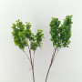 Boxwood ramo cm.62 verde